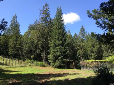 12450 Cloud Ridge Rd, Healdsburg, CA 95448 photo 34