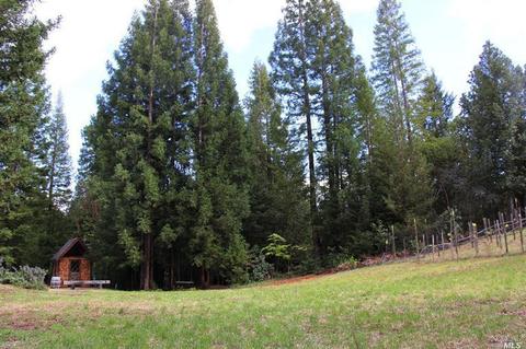 12450 Cloud Ridge Rd, Healdsburg, CA 95448 photo 16