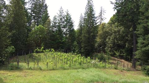 12450 Cloud Ridge Rd, Healdsburg, CA 95448 photo 39