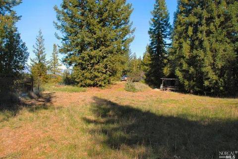 12450 Cloud Ridge Rd, Healdsburg, CA 95448 photo 24