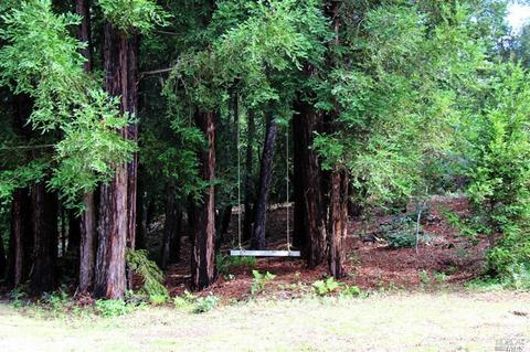 12450 Cloud Ridge Rd, Healdsburg, CA 95448 photo 23