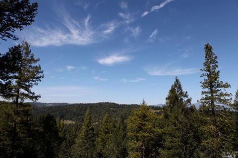 12450 Cloud Ridge Rd, Healdsburg, CA 95448 photo 28