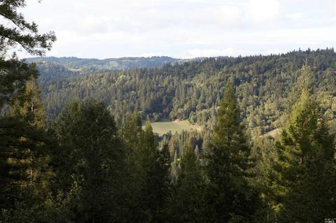 12450 Cloud Ridge Rd, Healdsburg, CA 95448 photo 41