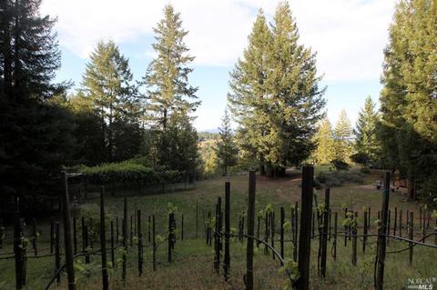12450 Cloud Ridge Rd, Healdsburg, CA 95448 photo 19