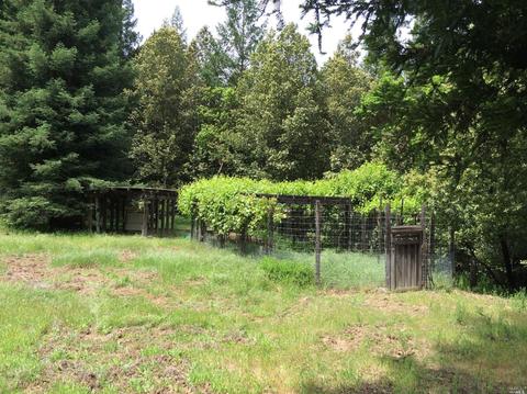 12450 Cloud Ridge Rd, Healdsburg, CA 95448 photo 37