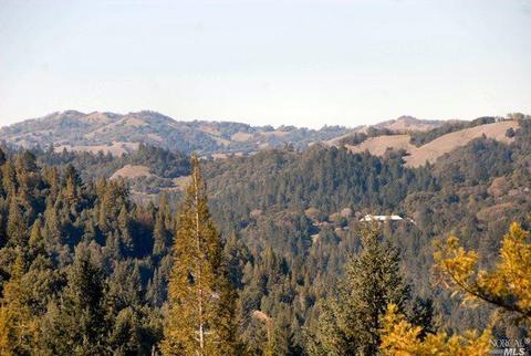 12450 Cloud Ridge Rd, Healdsburg, CA 95448 photo 17