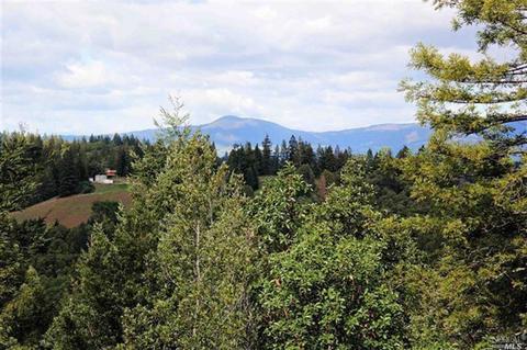 12450 Cloud Ridge Rd, Healdsburg, CA 95448 photo 13