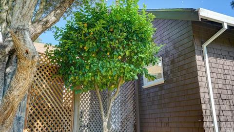 35 Sequoia Rd, Fairfax, CA 94930 photo 43