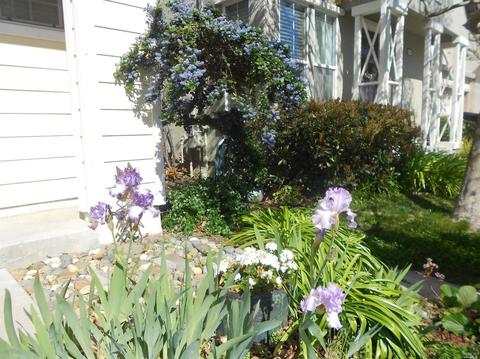 4656 Opal Ct, Fairfield, CA 94534 photo 41