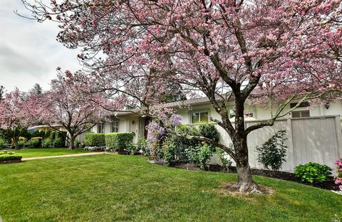 867 Oak Ln, Sonoma, CA 95476 photo 4