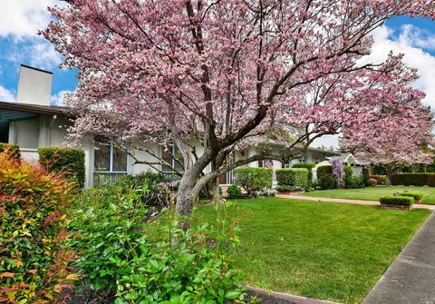 867 Oak Ln, Sonoma, CA 95476 photo 3