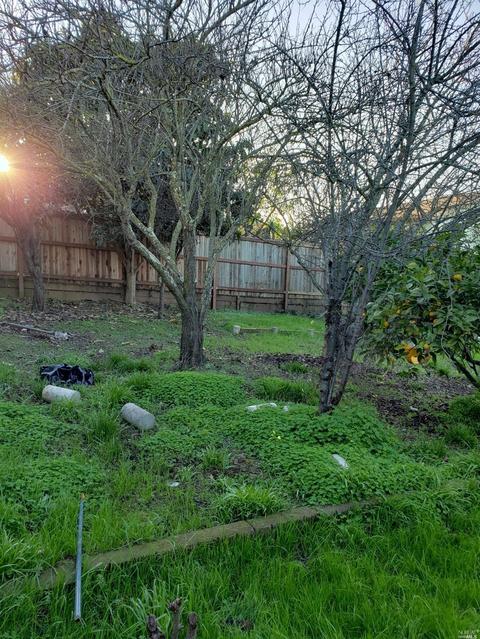 549 Sonoma Blvd, Vallejo, CA 94590 photo 3