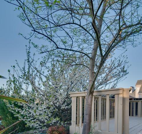 256 Ruby Ln, Vallejo, CA 94590 photo 30