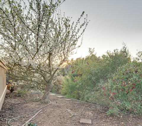 256 Ruby Ln, Vallejo, CA 94590 photo 32
