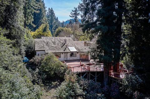 20070 River Blvd, Monte Rio, CA 95462 photo 8