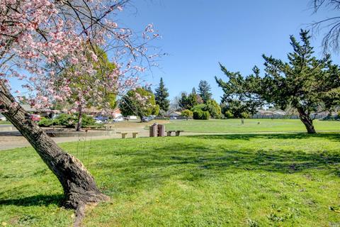 347 Lincoln Ave, Cotati, CA 94931 photo 20