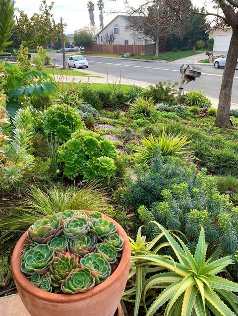 438 N Regatta Dr, Vallejo, CA 94591 photo 7