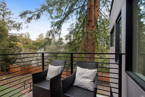 346 Laverne Ave, Mill Valley, CA 94941 photo 31