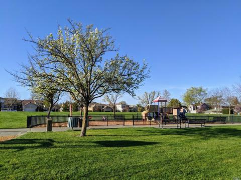 8599 Zinfandel Dr, Windsor, CA 95492 photo 43
