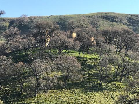 3528 Blue Mountain Dr, Fairfield, CA 94534 photo 19