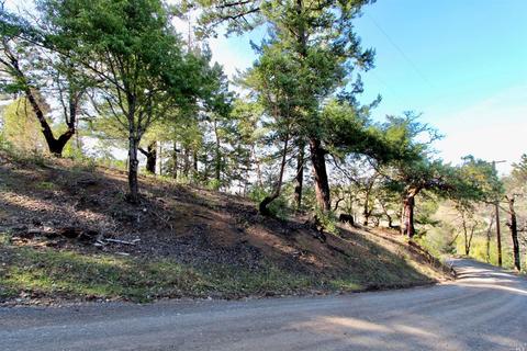 4789 Muniz Ranch Rd, Jenner, CA 95450 photo 17