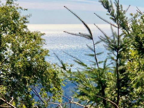 4789 Muniz Ranch Rd, Jenner, CA 95450 photo 25
