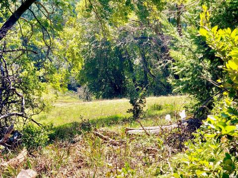 4789 Muniz Ranch Rd, Jenner, CA 95450 photo 24