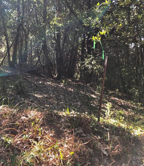 4789 Muniz Ranch Rd, Jenner, CA 95450 photo 8