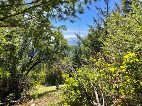 4789 Muniz Ranch Rd, Jenner, CA 95450 photo 26