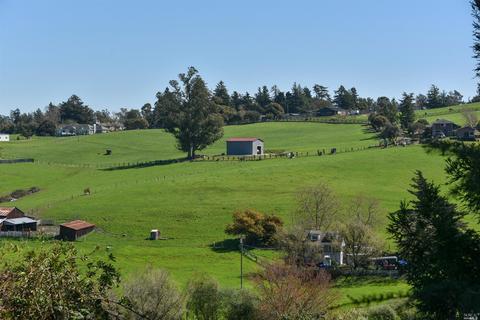 945 W Railroad Ave, Cotati, CA 94931 photo 13