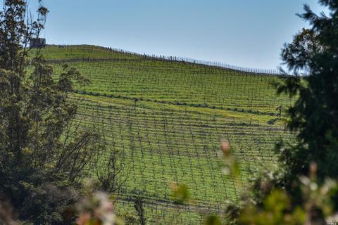 945 W Railroad Ave, Cotati, CA 94931 photo 12