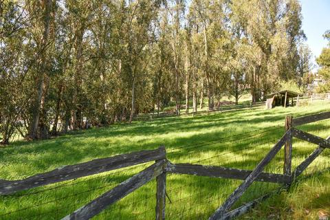 945 W Railroad Ave, Cotati, CA 94931 photo 11