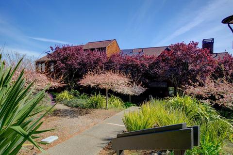131 Buckelew St, Sausalito, CA 94965 photo 2