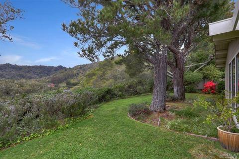 8 Dawn Pl, Mill Valley, CA 94941 photo 16
