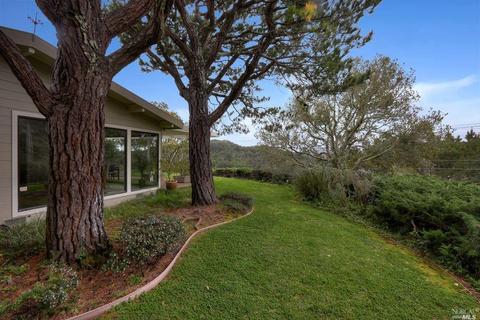 8 Dawn Pl, Mill Valley, CA 94941 photo 15