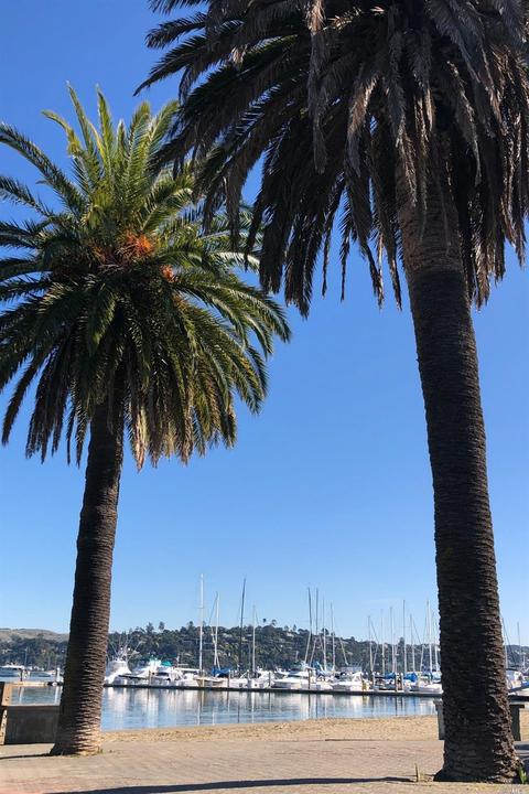 31 Anchorage Rd, Sausalito, CA 94965 photo 29