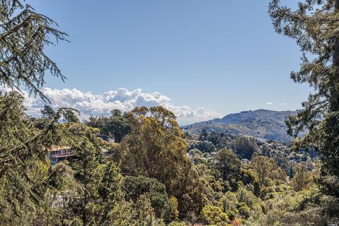 1220 El Cide Ct, Mill Valley, CA 94941 photo 21