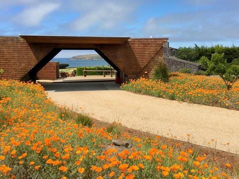 21668 Heron Dr, Bodega Bay, CA 94923 photo 2