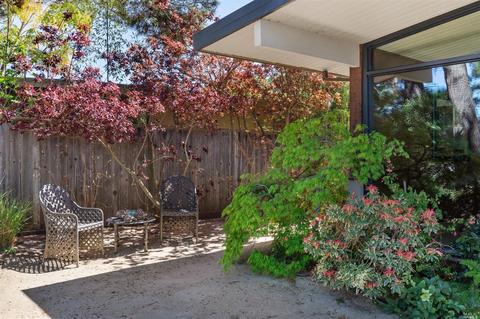 319 Devon Dr, San Rafael, CA 94903 photo 24