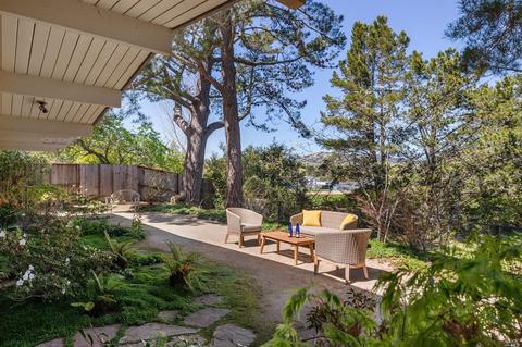 319 Devon Dr, San Rafael, CA 94903 photo 22