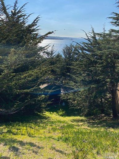 1745 Bay Flat Rd, Bodega Bay, CA 94923 photo 14