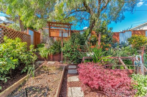215 Daniels Ave, Vallejo, CA 94590 photo 33