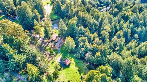 16910 Taylor Ln, Occidental, CA 95465 photo 34