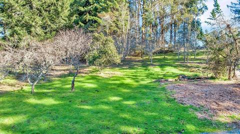 16910 Taylor Ln, Occidental, CA 95465 photo 31