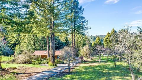16910 Taylor Ln, Occidental, CA 95465 photo 1