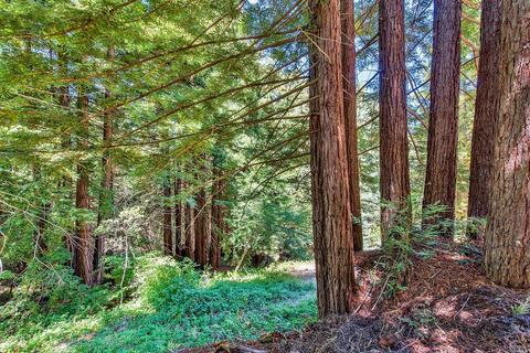 16910 Taylor Ln, Occidental, CA 95465 photo 29