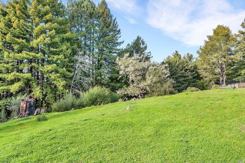 16910 Taylor Ln, Occidental, CA 95465 photo 27