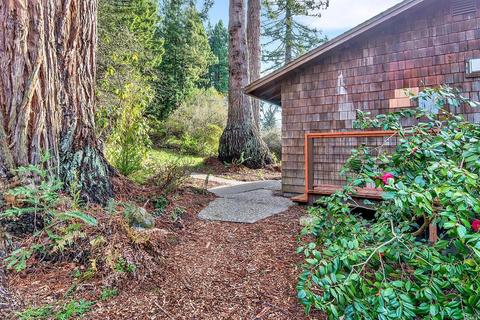 16910 Taylor Ln, Occidental, CA 95465 photo 16