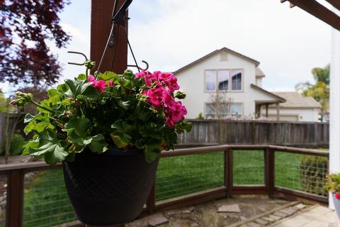 343 Decanter Cir, Windsor, CA 95492 photo 30