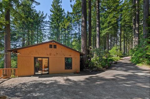 17100 Fitzpatrick Ln, Occidental, CA 95465 photo 31
